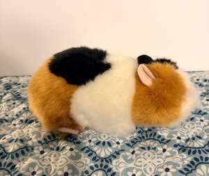 Miyoni by Aurora American Guinea Pig Plush Stuffed Animal
